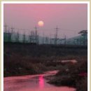 성연파출소 앞 이미지