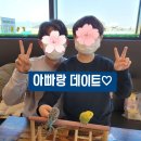 리프패럿 이미지