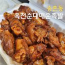 옥천순대별관 | 대전 송촌동맛집 옥천순대매운족발, 머리고기국밥 매운족발 포장한 내돈내산후기
