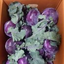 두우리 농장 이미지