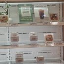 샌드위치 & 샐러드 이미지