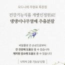 허니댕댕 네이버블로그