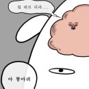 고려문화사