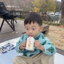 모현읍 다목적구장 | 용인자연휴양림 예약 텐트 매점 피크닉 식당 체험골 카페 한옥 캠핑장 30개월