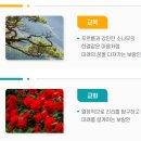 보람고등학교 | (일반고) 보람고등학교 2025 신입생 입학안내, 학교안내