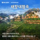 꿈에그린여행사 이미지