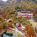 월아산 우드랜드 이미지