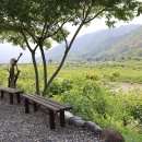 외룡송어회캠핑장 이미지
