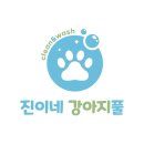 진이애견 이미지