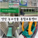 양산마트 놀이방 있는 마트, 무료놀이방마트&lt;양산 농수산물종합유통센터&gt; 양산 무료 키즈카페