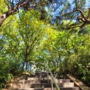 닥터스마일의원 이미지