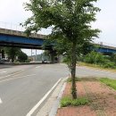 남창관문숯불갈비