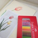 보타니칼아트 | 파버카스텔 클래식 색연필 후기|내돈내산|보태니컬 아트와 보타니컬 스케치 입문 필수템