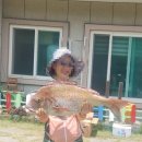 강림민박 이미지