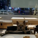 역전게임장 이미지