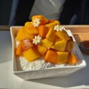 진주보건대(보건대 방면) 버스정류장 | 진주성 근처 맛집 베스트 TOP 10 추천