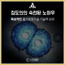 봉은사역유명한성형외과 에서 가슴성형을!