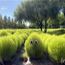 낙동강관리본부-1 이미지