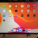 그만, 나 Apple iPad Pro 10.5 wifi 64gb 오너 이미지