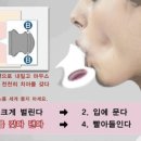 파오 이미지