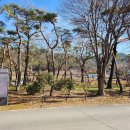 최강부동산중개갤러리 네이버블로그