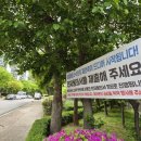 흰돌