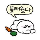 폭스노래클럽 - 서구 완정로 158 | 폭스노래클럽