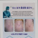 나무동물병원 네이버블로그