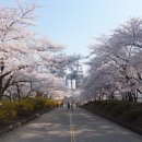 백조석유