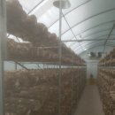 지민이네 농장 이미지