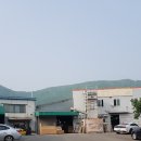 윌리하우스 네이버블로그