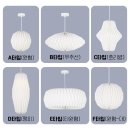 프리지아A 이미지