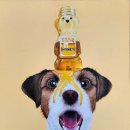 대전관저중학교 이미지