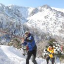 한라산 Daum카페