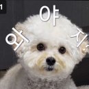 로로 7 (Roro7) | 홍대 데이트 파스타 맛집 로로11 특별한 날에도 어울리는 분위기