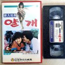 얄개비디오 이미지