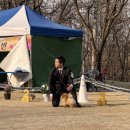 퍼피리트(PUPPY LIT) 이미지