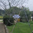 백암축사 이미지