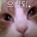 네임드학원 | 홍대 방탈출 토끼굴 두껍아두껍아 헌집줄게 새집다오