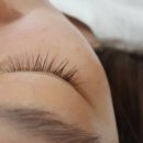 신정초 사거리(4) 이미지