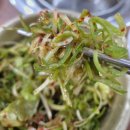 포항 소고기 맛집 정담한우, 투뿔 한우의 격이 다른 마블링 후기