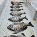 영등라인1 이미지