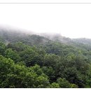 산림약국 이미지