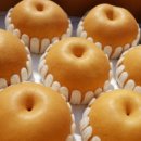 삼대농장 이미지