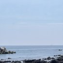 삼다미가 | 제주 서귀포 맛집 삼다미가 제철 바다 오마카세 먹은 후기