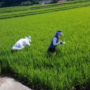 고흥군농업기술센터 이미지