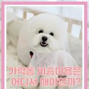 개성있냥 이미지