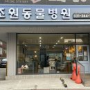 조원 동물병원 이미지