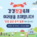 강경젓갈축제 라인업 소개 이미지