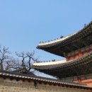 구사골 이미지